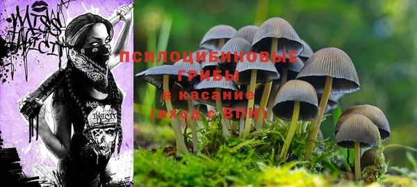 каннабис Балахна