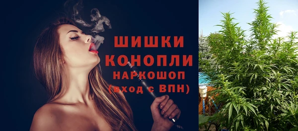 спиды Няндома