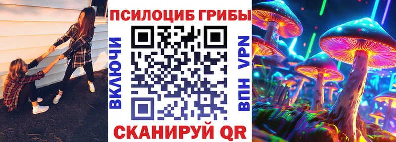 Псилоцибиновые грибы прущие грибы  наркошоп  Светогорск 